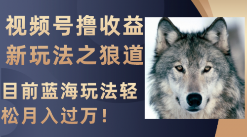 【副业项目8271期】视频号撸收益新玩法之狼道，目前蓝海玩法轻松月入过万！-欧乐副业网