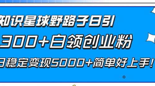 【副业项目8492期】知识星球野路子日引300+白领创业粉-欧乐副业网