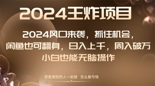 【副业项目8548期】2024闲鱼翻身项目，小白也可做-欧乐副业网