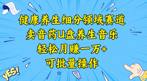 【副业项目8638期】健康养生细分领域赛道，卖音药U盘养生音乐，轻松月赚一万+，可批量操作-欧乐副业网