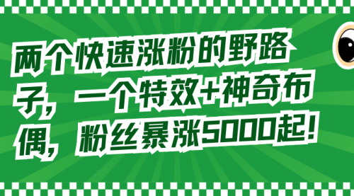 【副业8723期】两个快速涨粉的野路子，一个特效+神奇布偶，粉丝暴涨5000起！-欧乐副业网