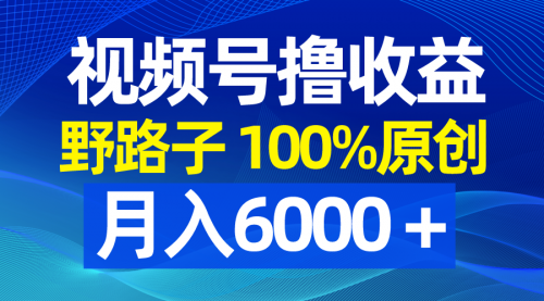 【副业8771期】视频号野路子撸收益，100%原创，条条爆款，月入6000＋-欧乐副业网