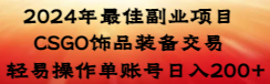 【副业8982期】2024年最佳副业项目 CSGO饰品装备交易 轻易操作单账号日入200+-欧乐副业网