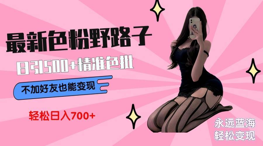 最新色粉变现野路子，日引500+老色批 可不加好友直接变现 小白轻松日入700+-欧乐副业网