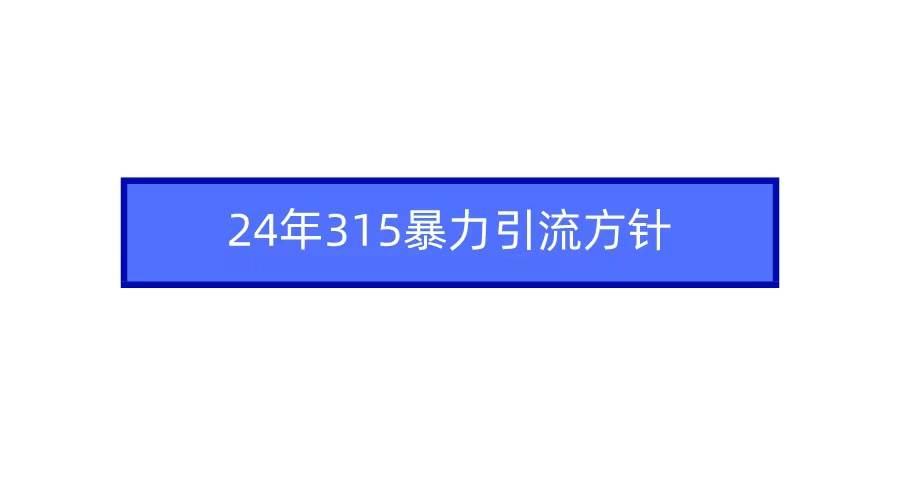 2024年315暴力引流方针-欧乐副业网