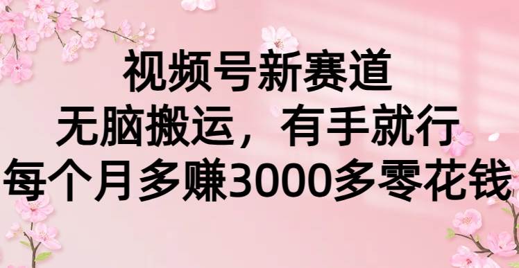 视频号新赛道，无脑搬运，有手就行，每个月多赚3000多零花钱-欧乐副业网
