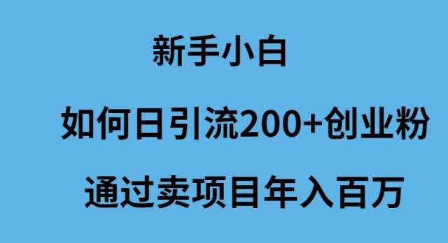 新手小白如何日引流200+创业粉通过卖项目年入百万-欧乐副业网