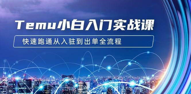 Temu小白入门实战课：跨境拼多多电商培训 快速跑通从入驻到出单全流程-12节-欧乐副业网