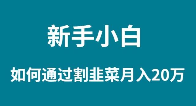 新手小白如何通过割韭菜月入 20W插图 新手小白如何通过割韭菜月入 20W插图