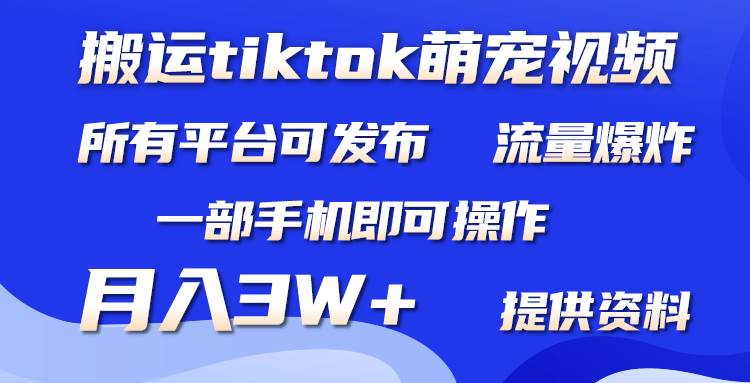 搬运Tiktok萌宠类视频，一部手机即可。所有短视频平台均可操作，月入3W+-欧乐副业网