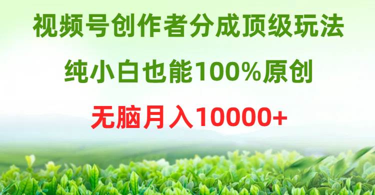 视频号创作者分成顶级玩法，纯小白也能100%原创，无脑月入10000+-欧乐副业网