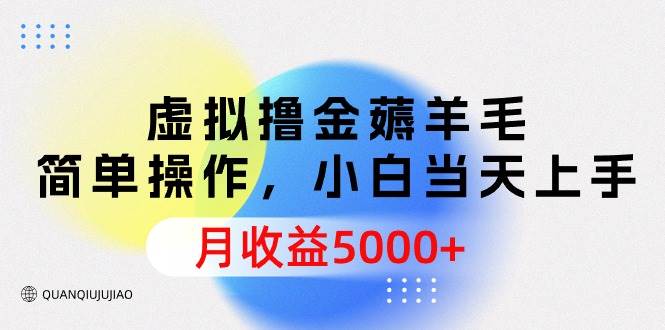 虚拟撸金薅羊毛，简单操作，小白当天上手，月收益5000+-欧乐副业网