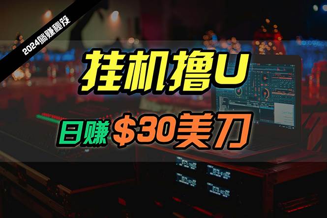 日赚30美刀，2024最新海外挂机撸U内部项目，全程无人值守，可批量放大-欧乐副业网