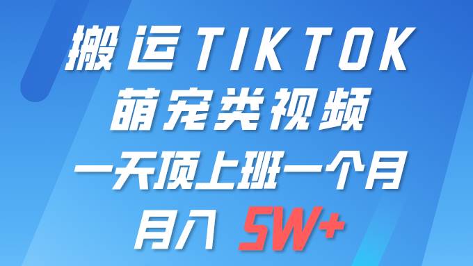 一键搬运TIKTOK萌宠类视频 一部手机即可操作 所有平台均可发布 轻松月入5W+-欧乐副业网