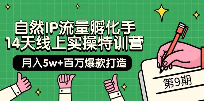 自然IP流量孵化手 14天线上实操特训营【第9期】月入5w+百万爆款打造 (74节)-欧乐副业网