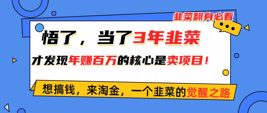 悟了,当了3年韭菜,才发现网赚圈年赚100万的核心是卖项目,含泪分享!插图 悟了,当了3年韭菜,才发现网赚圈年赚100万的核心是卖项目,含泪分享!插图