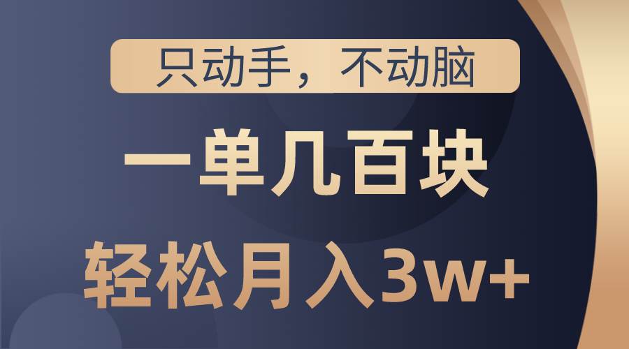 只动手不动脑，一单几百块，轻松月入3w+，看完就能直接操作，详细教程-欧乐副业网
