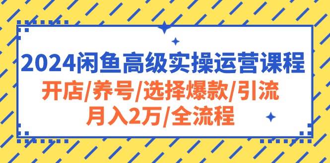 2024闲鱼高级实操运营课程：开店/养号/选择爆款/引流/月入2万/全流程-欧乐副业网