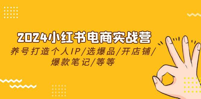 2024小红书电商实战营，养号打造IP/选爆品/开店铺/爆款笔记/等等（24节）-欧乐副业网