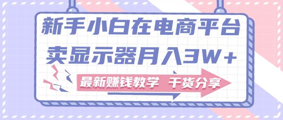 新手小白如何做到在电商平台卖显示器月入3W+，最新赚钱教学干货分享-欧乐副业网