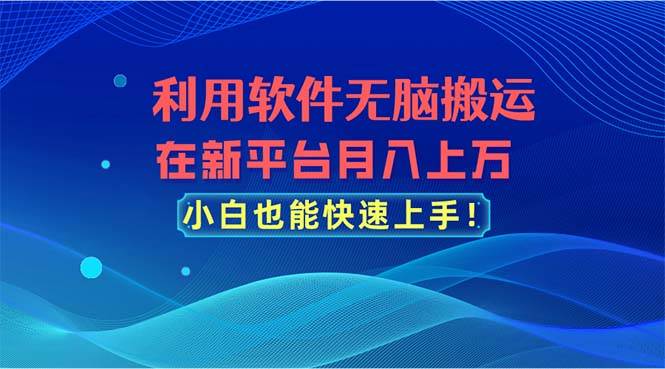 利用软件无脑搬运，在新平台月入上万，小白也能快速上手-欧乐副业网