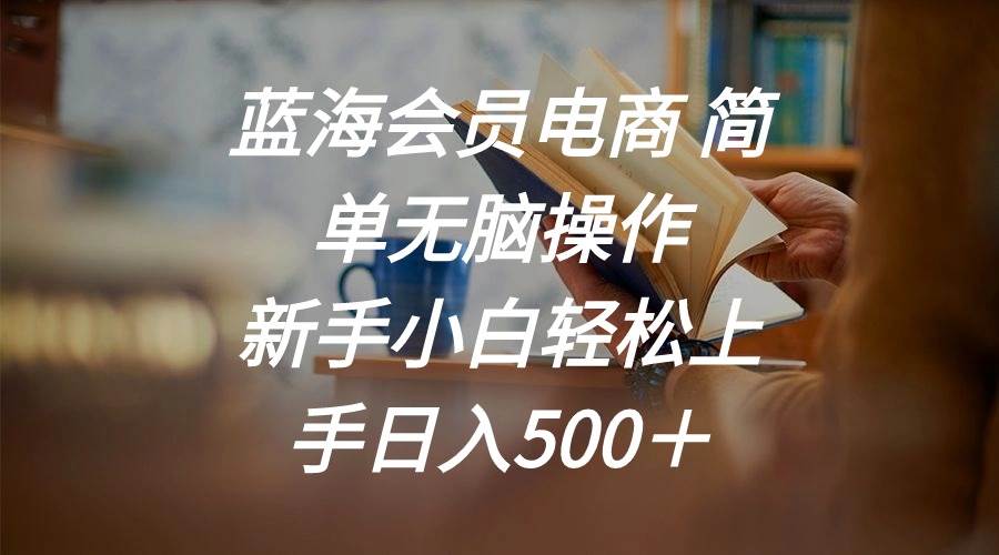 蓝海会员电商 简单无脑操作 新手小白轻松上手日入500＋-欧乐副业网