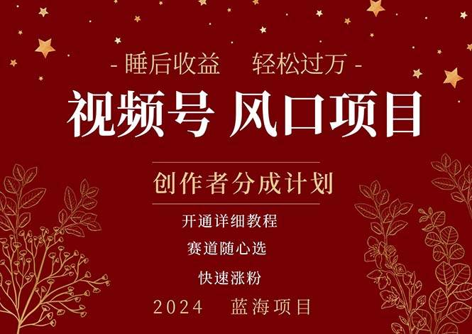 拥有睡眠收益的微信视频号大风口项目，轻松月入过万+，多赛道选择，可…-欧乐副业网