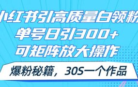 小红书引高质量白领粉,单号日引300+,可放大操作,爆粉秘籍!30s一个作品-欧乐副业网