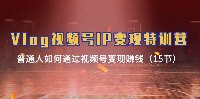 Vlog 视频号IP变现特训营，普通人如何通过视频号变现赚钱（15节）-欧乐副业网
