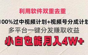 利用软件双重去重,100%过中视频+视频号分成计划小白也可以月入4W+-欧乐副业网