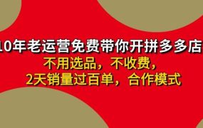 拼多多 最新合作开店日收4000+两天销量过百单，无学费、老运营代操作、...-欧乐副业网