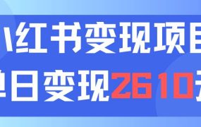 利用小红书卖资料单日引流150人当日变现2610元小白可实操(教程+资料)-欧乐副业网