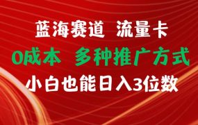 蓝海赛道 流量卡 0成本 小白也能日入三位数-欧乐副业网