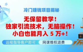 冷门赚钱项目无保留教学!独家引流技术,无脑操作!小白也能月入5万+!-欧乐副业网