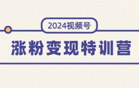 2024视频号-涨粉变现特训营:一站式打造稳定视频号涨粉变现模式(10节)-欧乐副业网