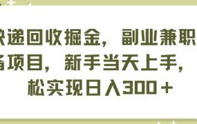 快递回收掘金,副业兼职必备项目,新手当天上手,轻松实现日入300+-欧乐副业网