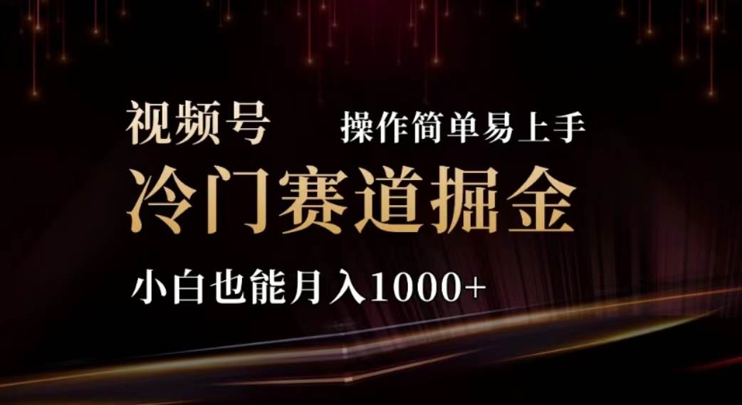 2024视频号冷门赛道掘金，操作简单轻松上手，小白也能月入1000+-欧乐副业网