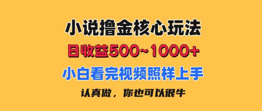 小说撸金核心玩法，日收益500-1000+，小白看完照样上手，0成本有手就行-欧乐副业网