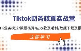 Tiktok财务核算实战营：TK业务模式/数据核算/应收款及毛利/数据下载及报表-欧乐副业网