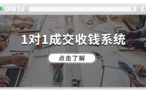 1对1成交 收钱系统，十年专注于引流和成交，全网130万+粉丝-欧乐副业网