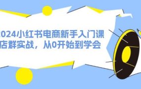 2024小红书电商新手入门课,店群实战,从0开始到学会(31节)-欧乐副业网