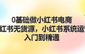 0基础做小红书电商,小红书无货源,小红书系统运营,入门到精通 (70节)-欧乐副业网