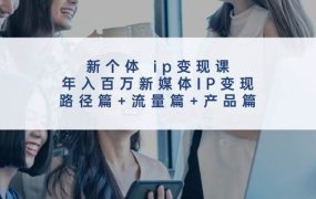 新个体 ip变现课,年入百万新媒体IP变现,路径篇+流量篇+产品篇-欧乐副业网