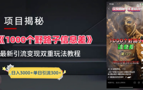 抖音一千个野路子信息差最新玩法教程-变现＋引流的玩法具体拆解-欧乐副业网