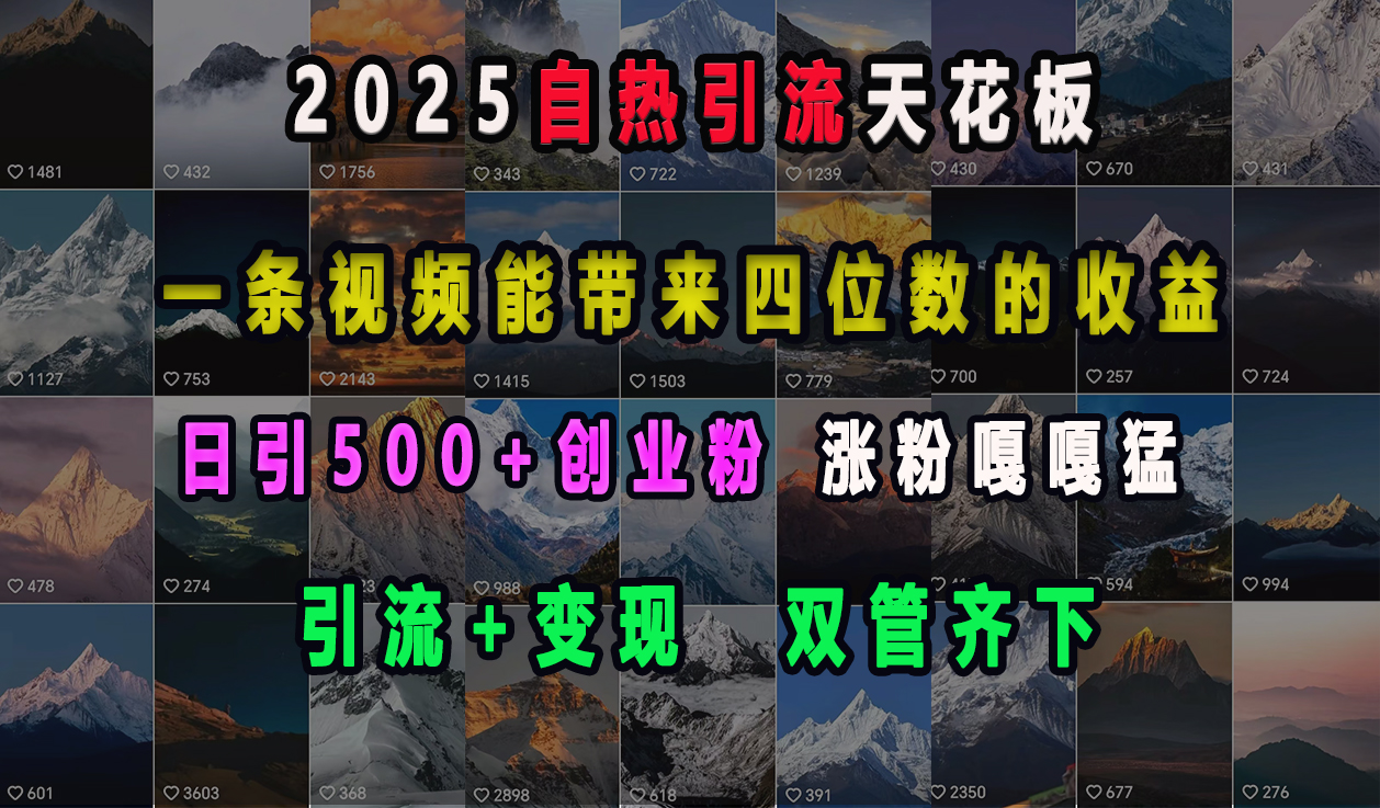 2025自热引流天花板，一条视频能带来四位数的收益，引流+变现双管齐下，日引500+创业粉，涨粉嘎嘎猛-欧乐副业网