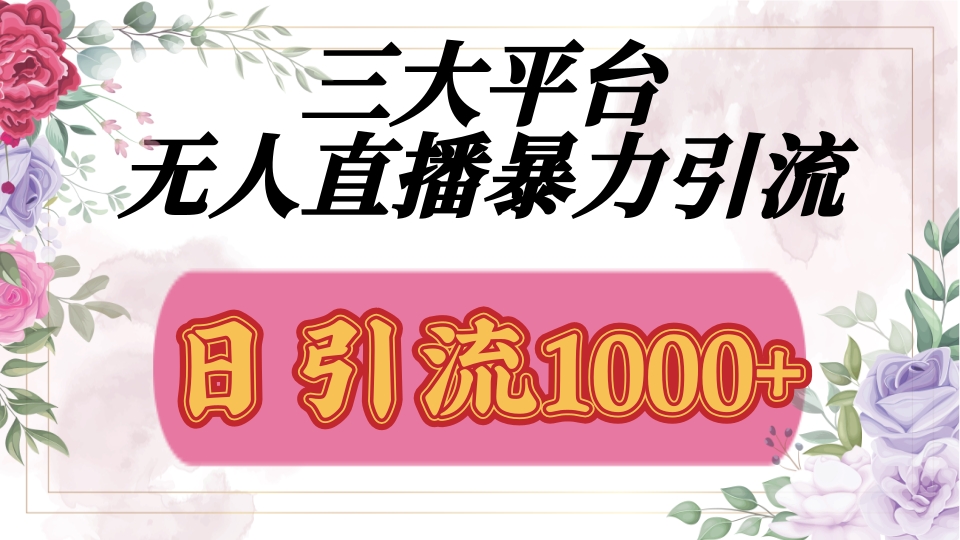 抖音，快手，视频号全平台通用，无人直播引流法，利用图片,模板,整套话术挂机全天支持矩阵操作，无限设备多开，超暴力引流，1000+高质量精准创业粉-欧乐副业网