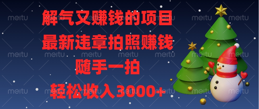 最新违章拍照赚钱，随手一拍，解气又赚钱的项目，轻松收入3000+-欧乐副业网