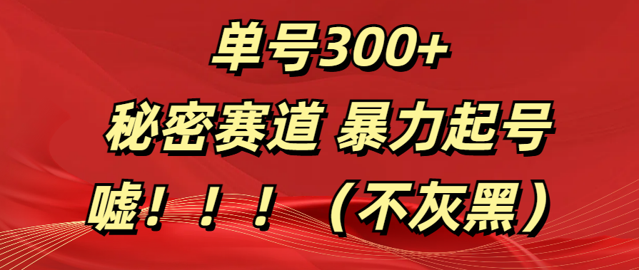 单号300+  秘密赛道 暴力起号  （不灰黑）-欧乐副业网