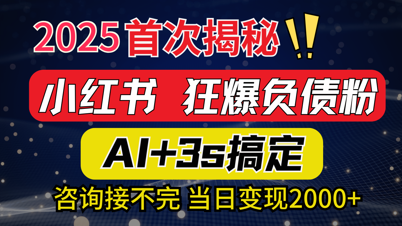 2025引流天花板：最新小红书狂暴负债粉思路，咨询接不断，当日入2000+-欧乐副业网