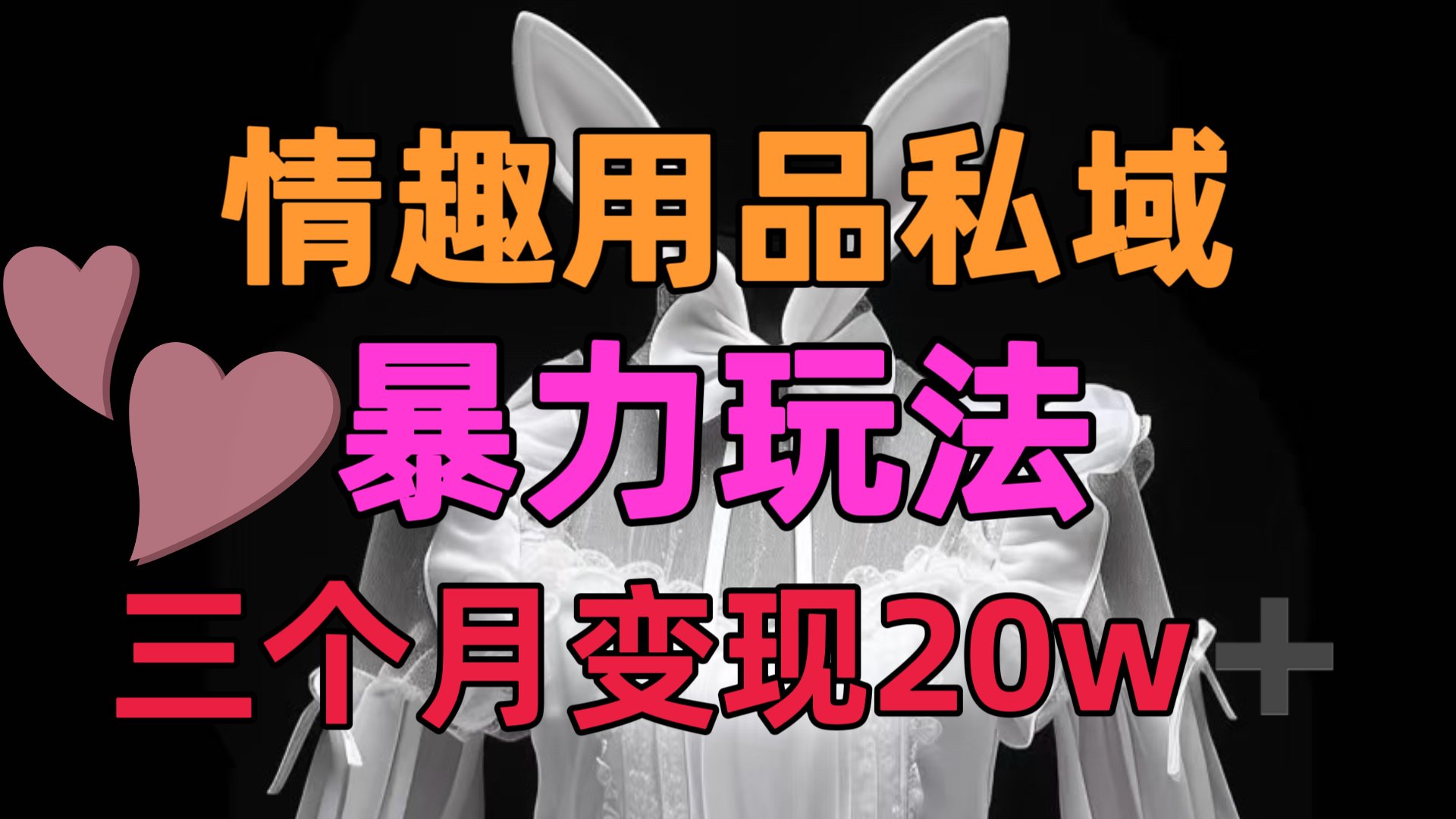 情趣用品私域，25年最新暴力玩法，三个月变现20w➕-欧乐副业网